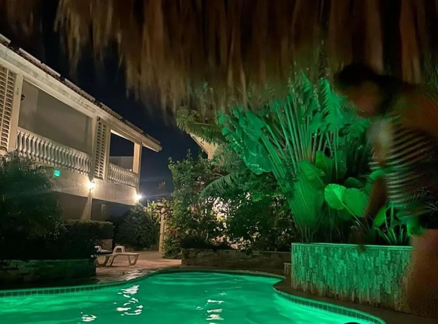 Cozy 1-Bedroom-Apartment 2 Km From Eagle Beach Palm Beach Apartment