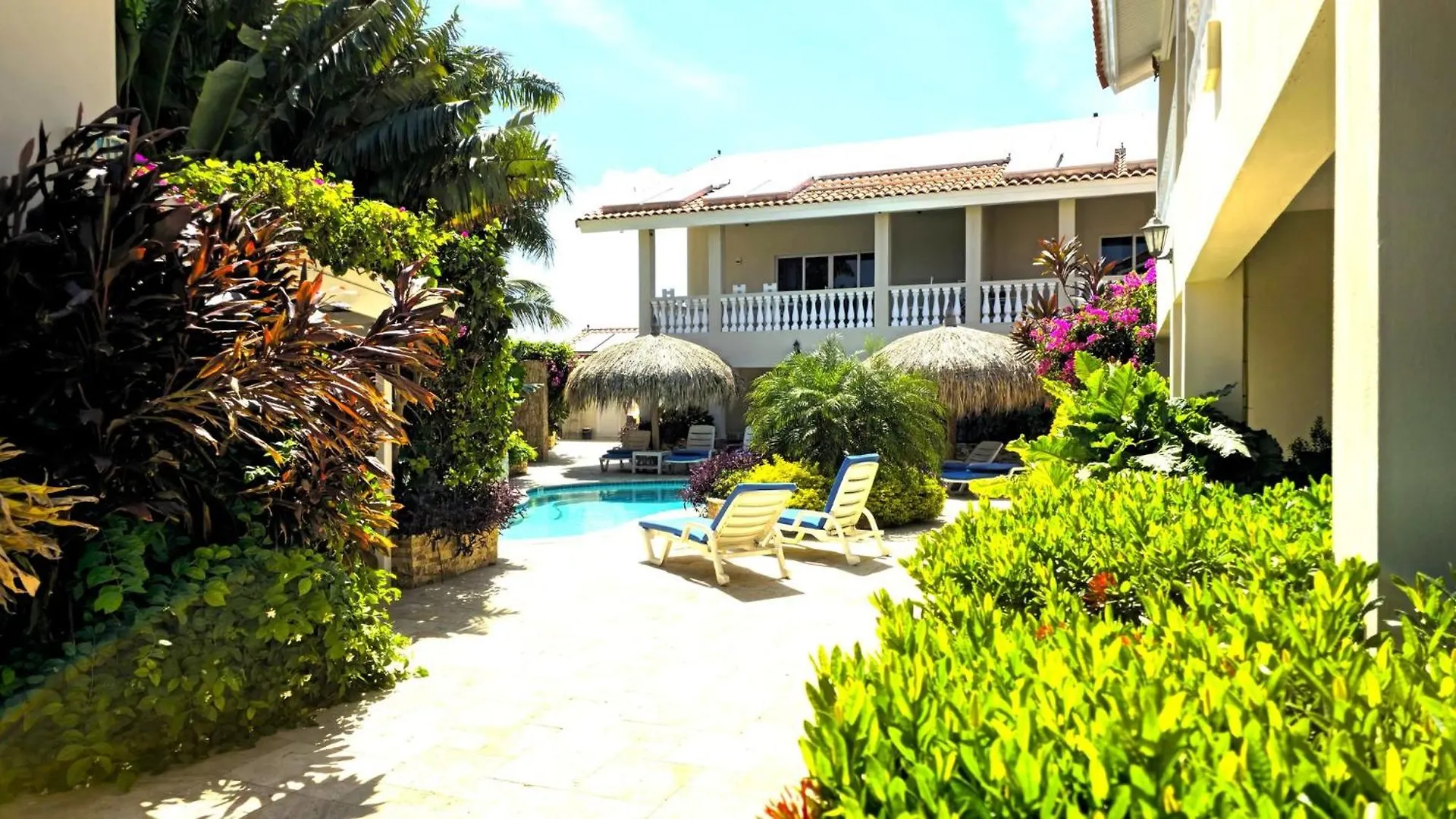 Cozy 1-Bedroom-Apartment 2 Km From Eagle Beach Palm Beach Apartment