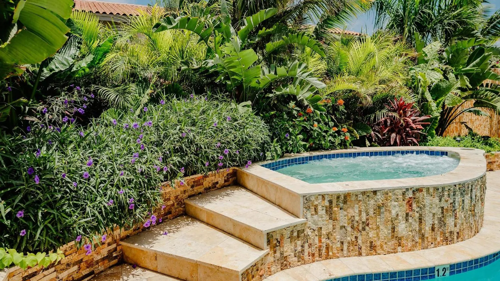 Cozy 1-Bedroom-Apartment 2 Km From Eagle Beach Palm Beach