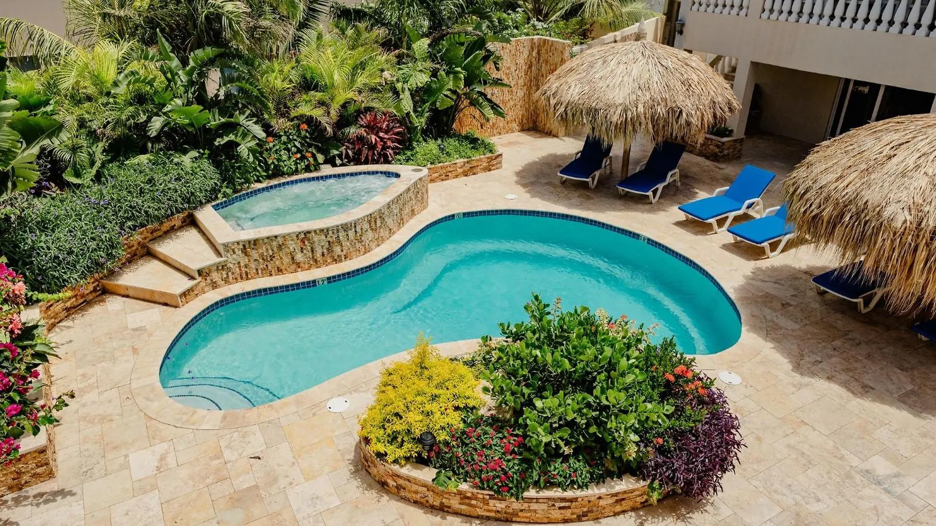 Cozy 1-Bedroom-Apartment 2 Km From Eagle Beach Palm Beach Apartment