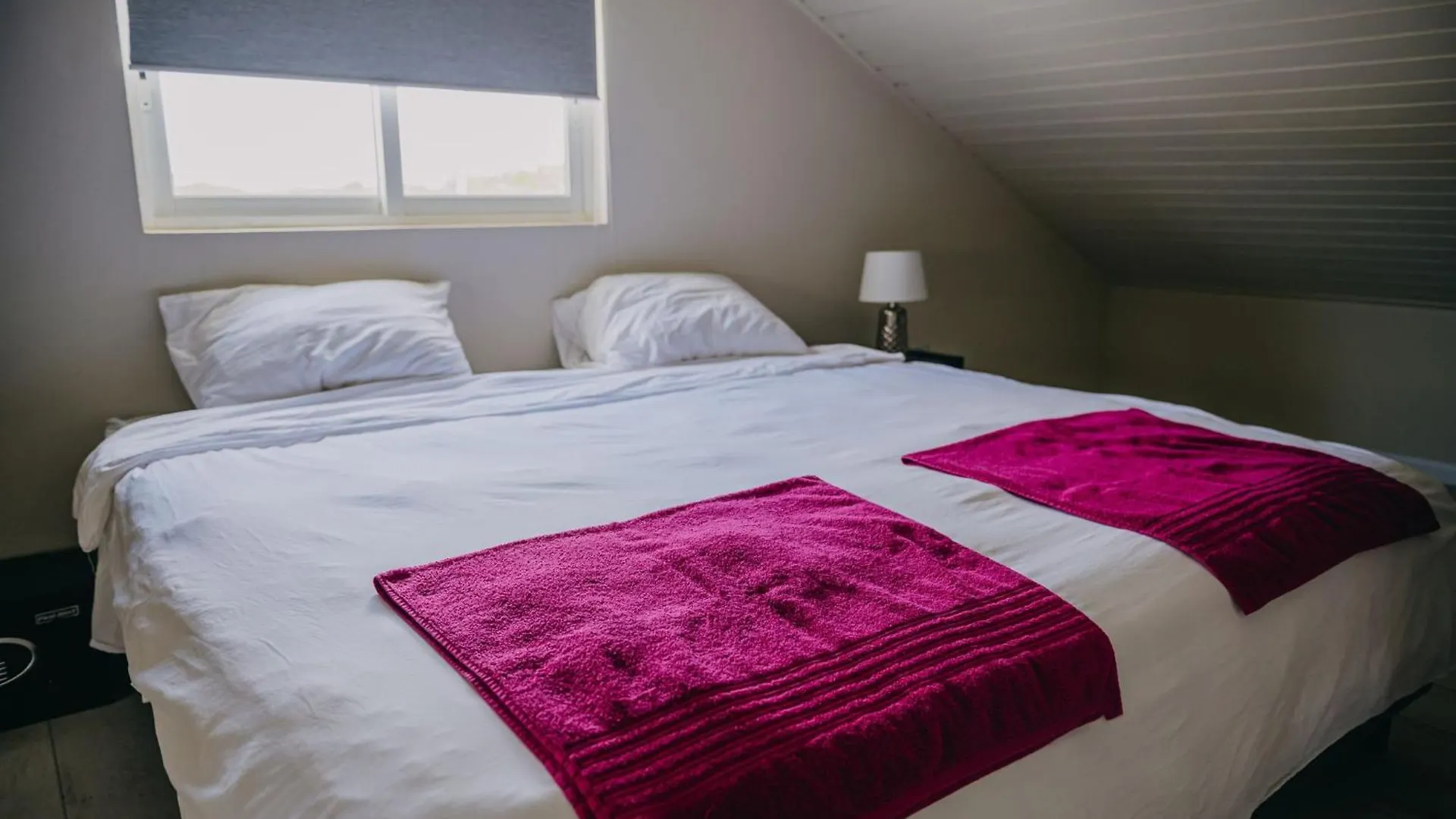 Apartment Cozy 1-Bedroom-Apartment 2 Km From Eagle Beach Palm Beach