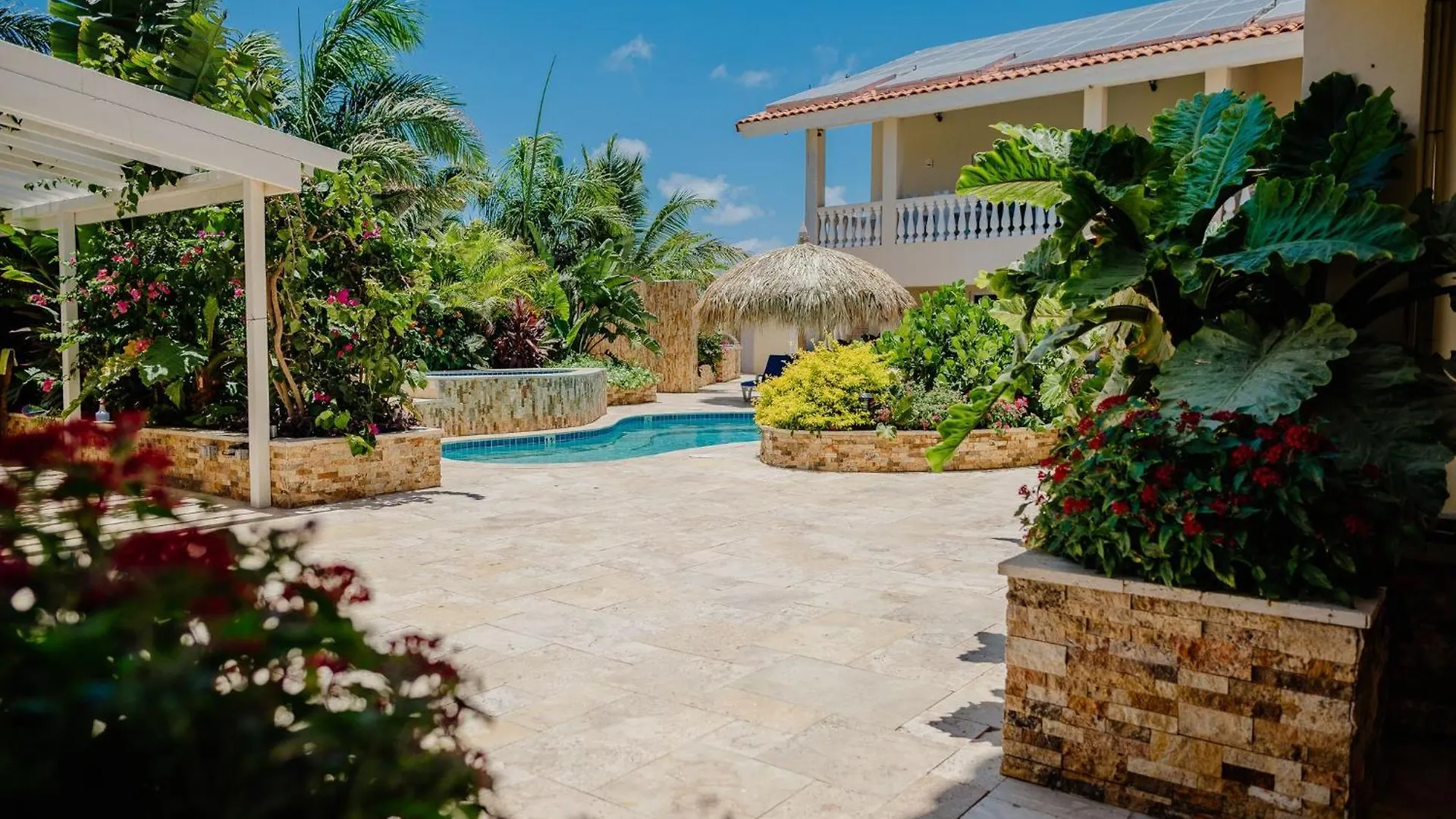 Cozy 1-Bedroom-Apartment 2 Km From Eagle Beach Palm Beach Apartment